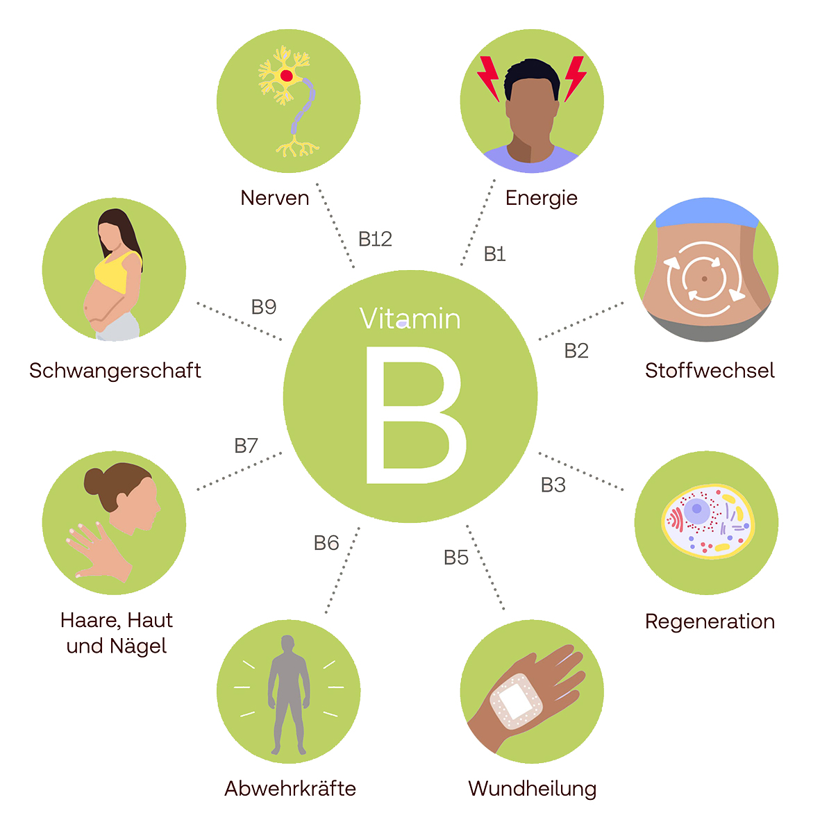 Vitamin_B